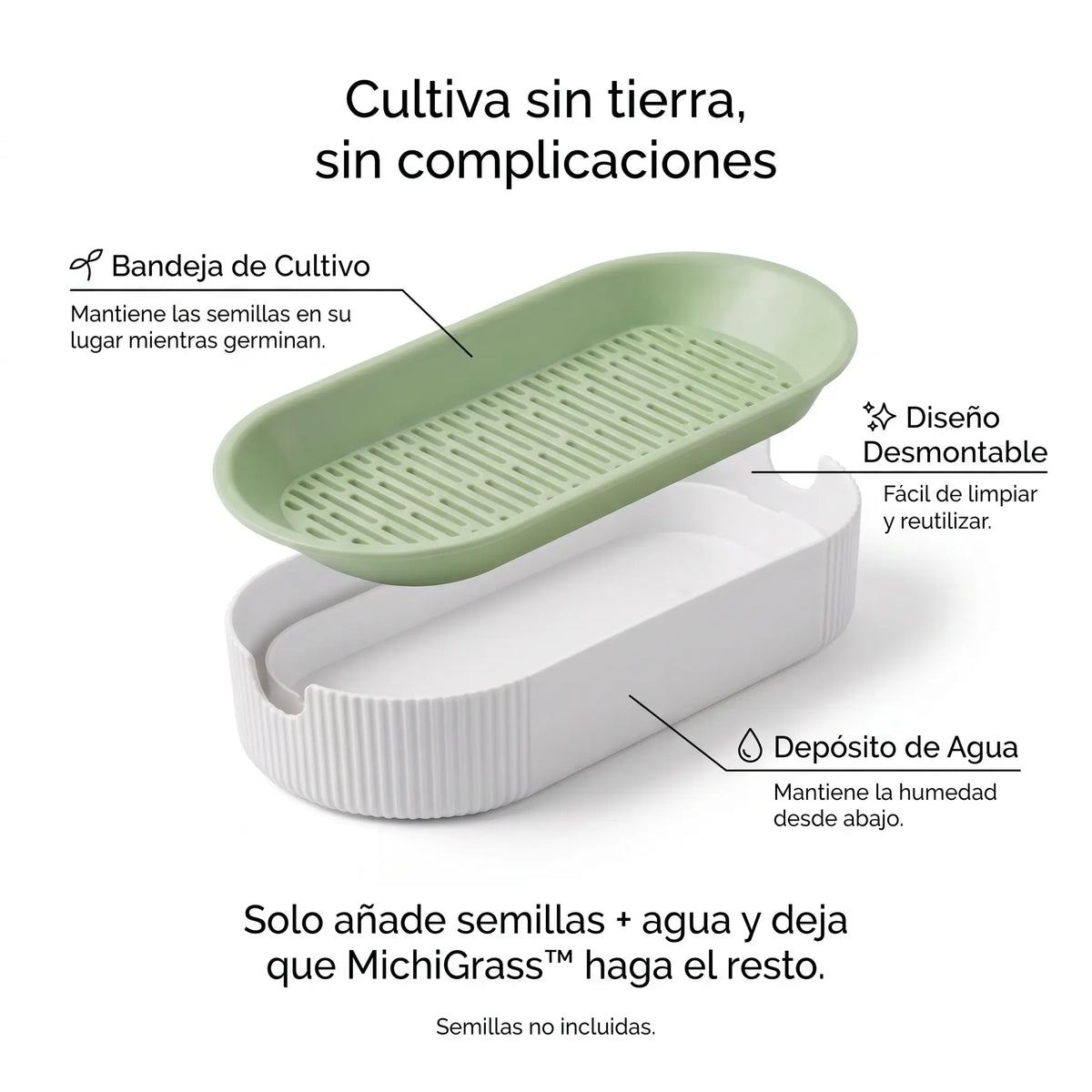 Germinador de Pasto para Gato
